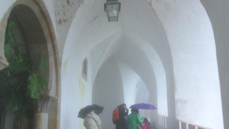 Parue dans : Pena, parc et palais