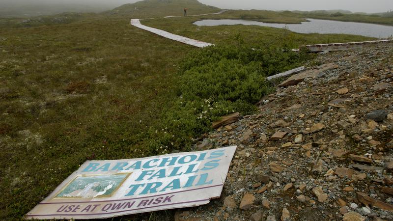 Parue dans : Terre Neuve deuxième voyage