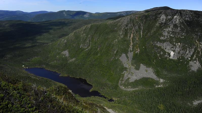 Parue dans : Parc national de la Gaspésie