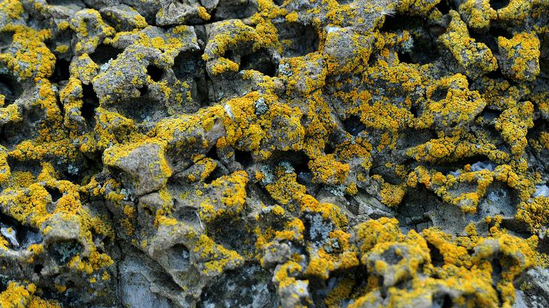 Parue dans : Géologie