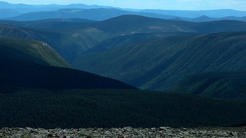 Parue dans : Randonnée du mont Jacques-Cartier au mont Albert