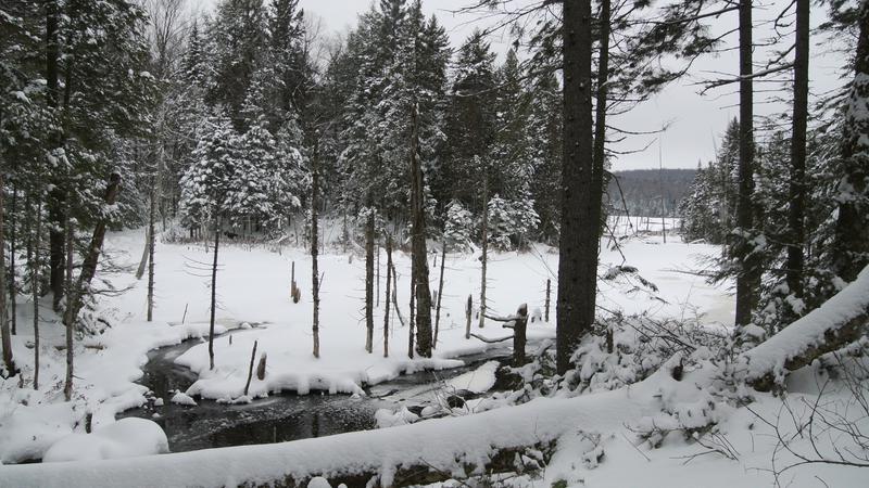 Parue dans : Parc naturel régional de Portneuf