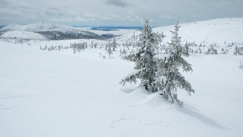 Parue dans : Monts Uapishka (Groulx)