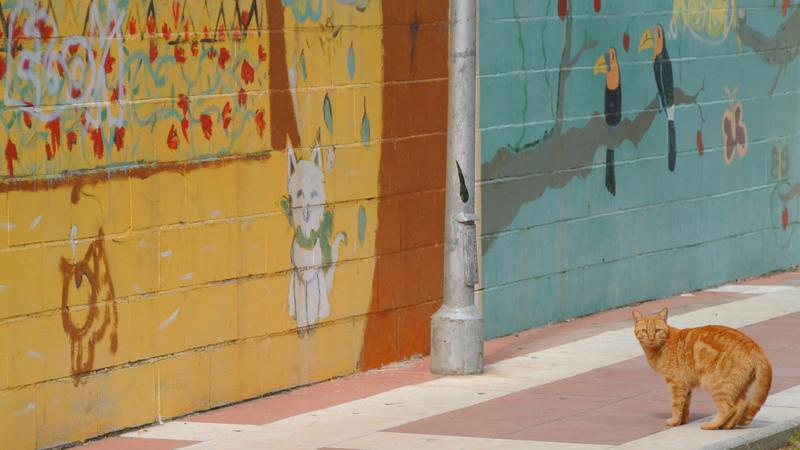 Parue dans : Promenade La Carihuela