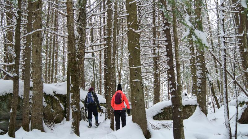 Parue dans : Parc naturel régional de Portneuf