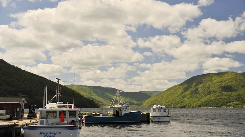 Parue dans : Iles du Cap Breton (Cabot Trail)