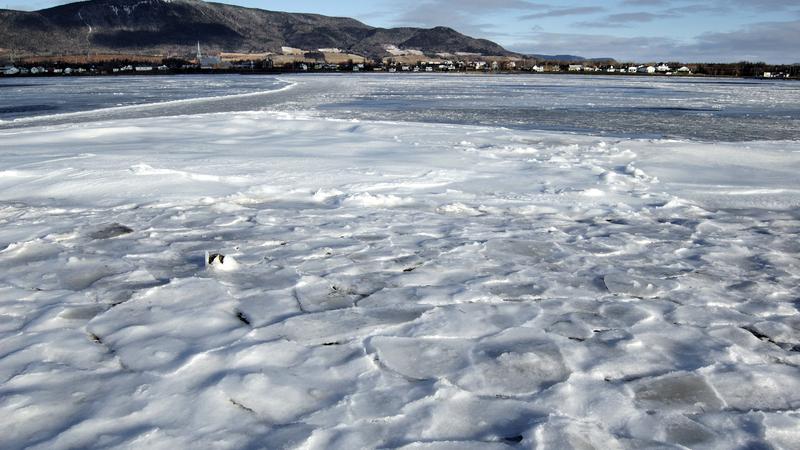 Parue dans : Gaspésie