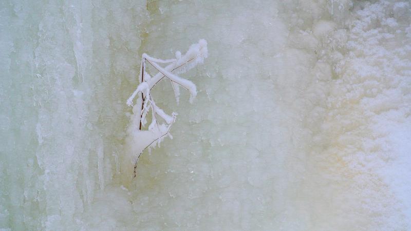 Parue dans : Nature hivernale