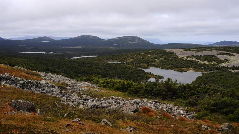 Parue dans : Mont Jacques-Cartier