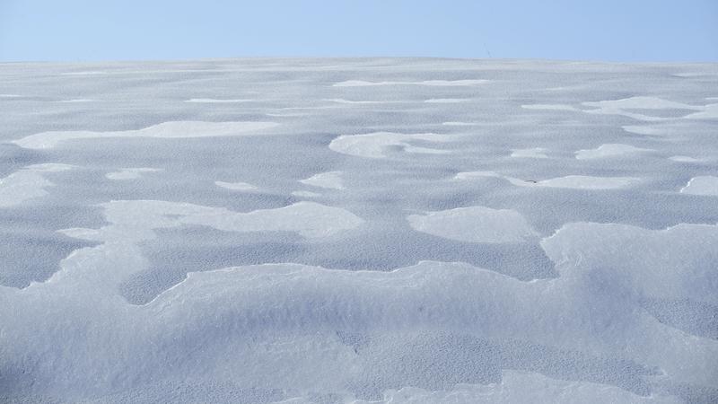 Parue dans : Nature hivernale