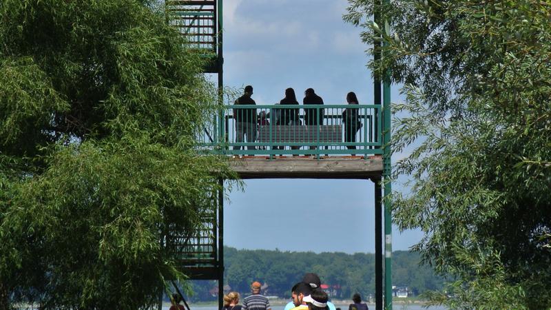 Parue dans : Parc Écomaritime de l'Anse-du-Port