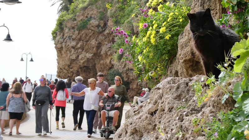 Parue dans : El Morro