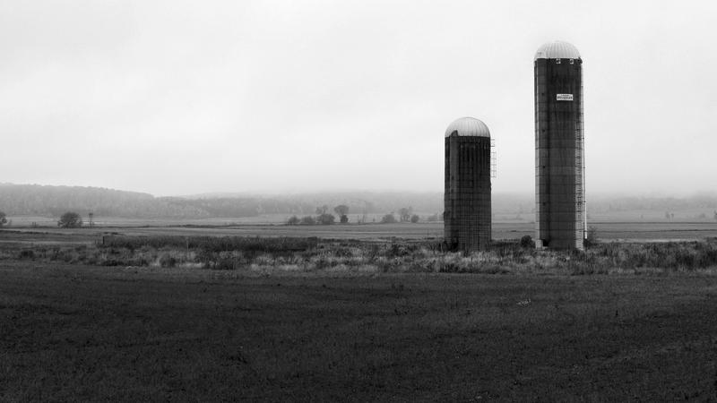 Parue dans : Abandonnés