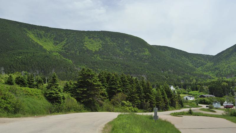 Parue dans : Iles du Cap Breton (Cabot Trail)
