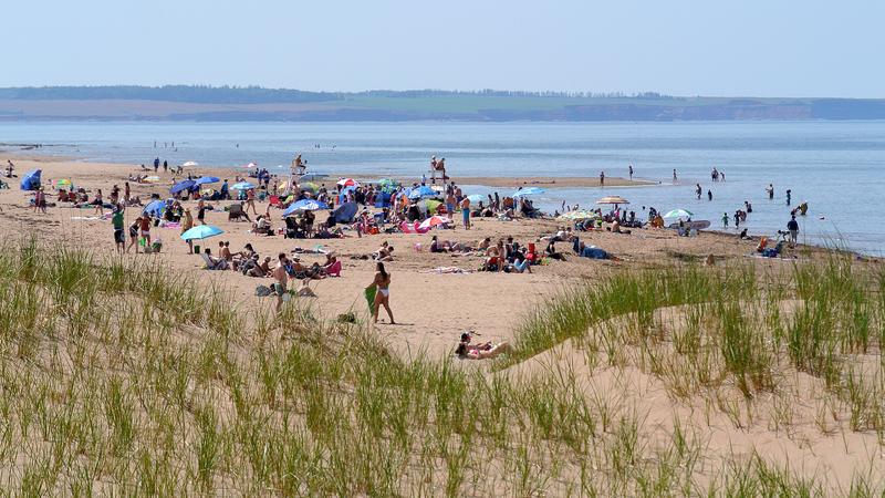 Parue dans : L'Île-du-Prince-Édouard