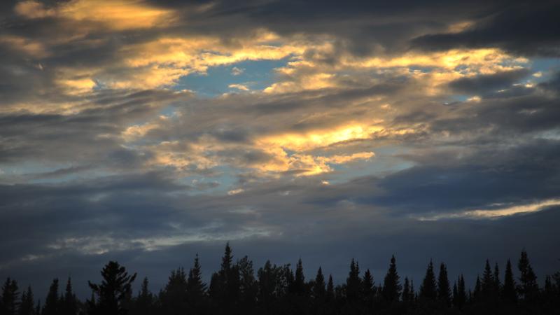 Parue dans : Parc national du Bic