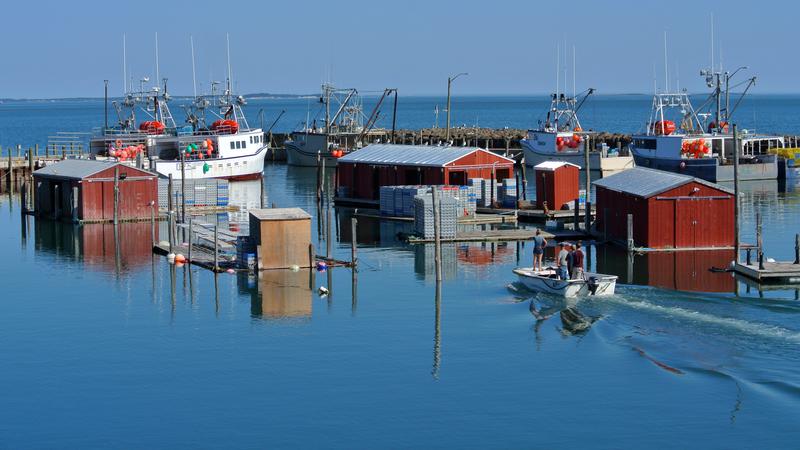 Parue dans : L'île Grand Manan