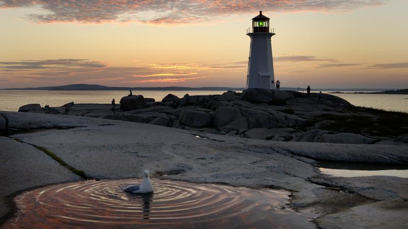 Parue dans : De Digby à Halifax