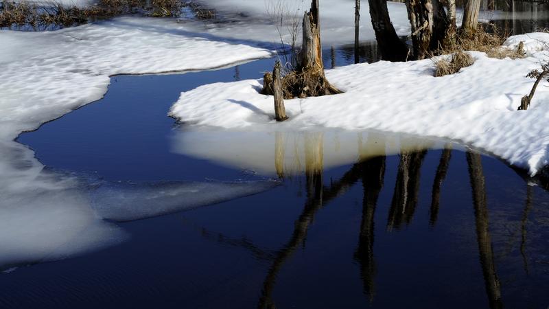 Parue dans : Nature hivernale