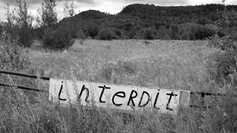 Parue dans : Spécial noir et blanc