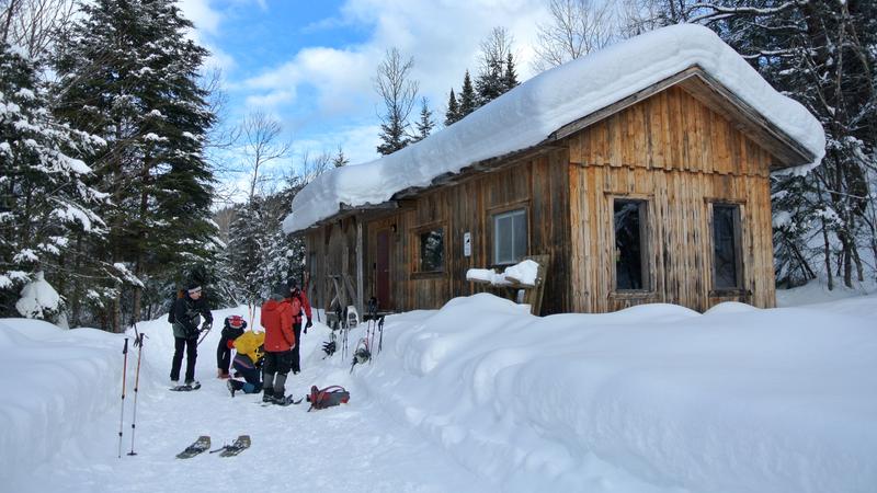 Parue dans : Parc national de la Jacques-Cartier
