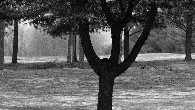 Parue dans : Paysage en noir et blanc
