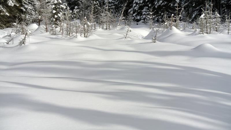 Parue dans : Parc national de la Jacques-Cartier
