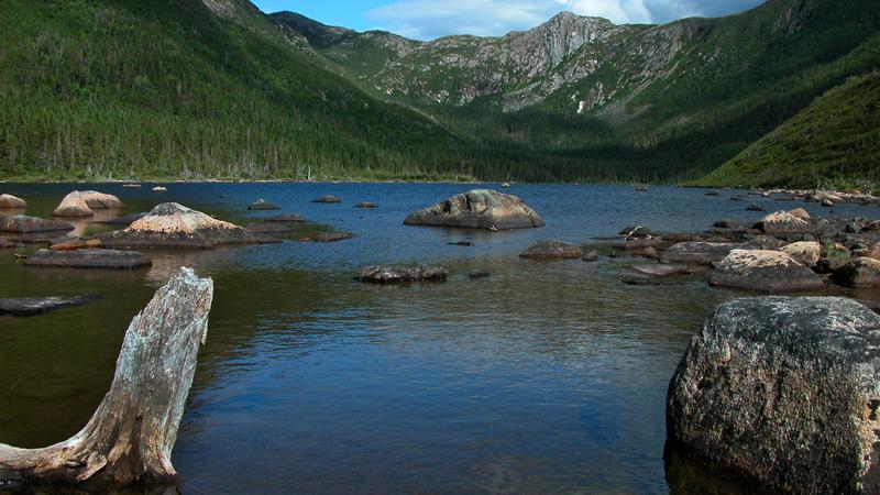 Parue dans : Randonnée du mont Jacques-Cartier au mont Albert