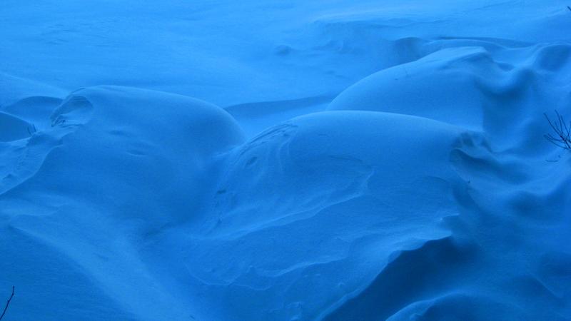 Parue dans : Nature hivernale