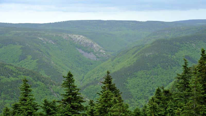 Parue dans : Cabot Trail (Côté Golfe St-Laurent)