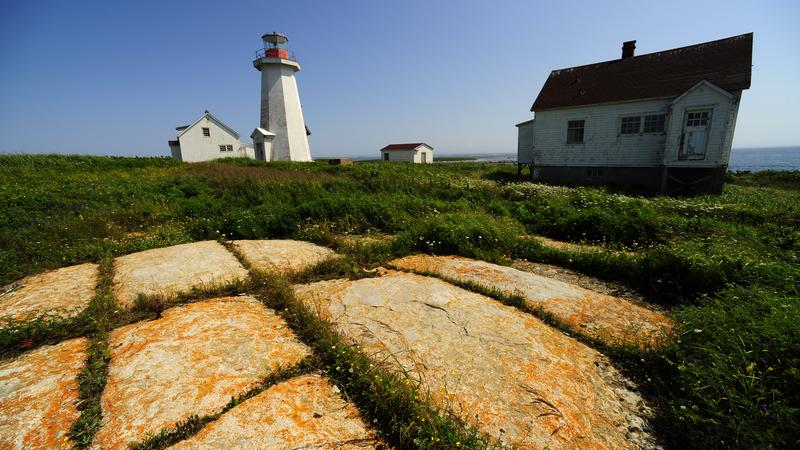 Parue dans : L'Île aux Perroquets