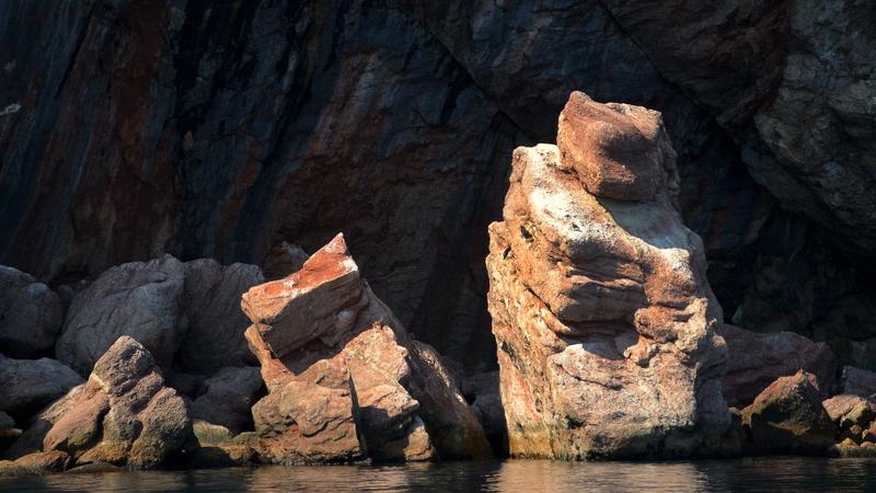 Parue dans : Le tour de l'île Bonaventure
