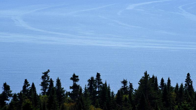 Parue dans : Parc national Forillon