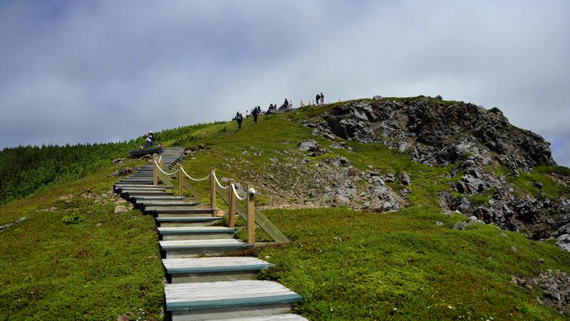 Parue dans : Skyline Trail ( Île du Cap Breton )