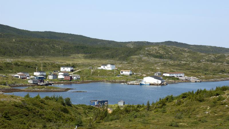 Parue dans : Terre Neuve deuxième voyage