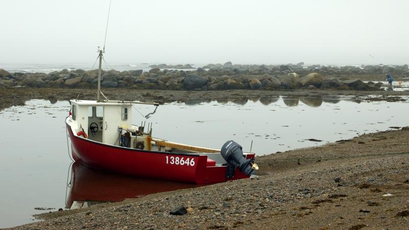 Parue dans : Terre Neuve deuxième voyage