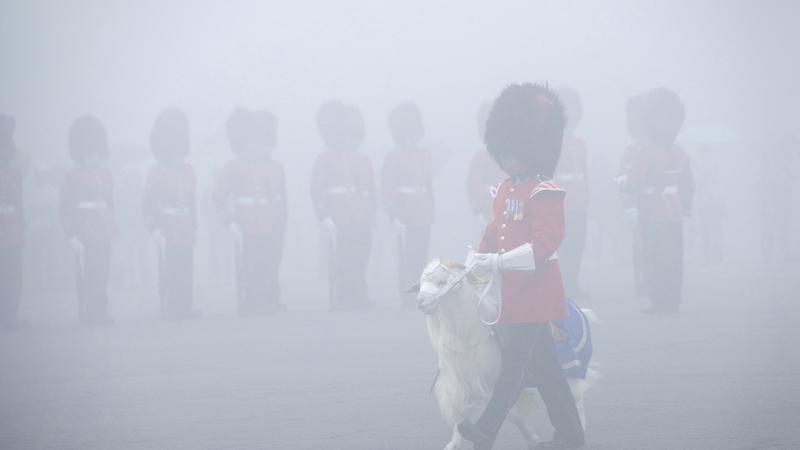 Parue dans : Ville de Québec