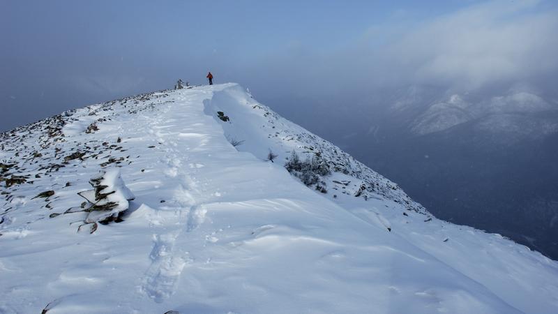 Parue dans : Mont Hog's Back
