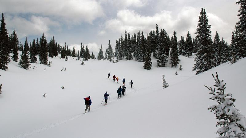 Parue dans : Monts Uapishka (Groulx)