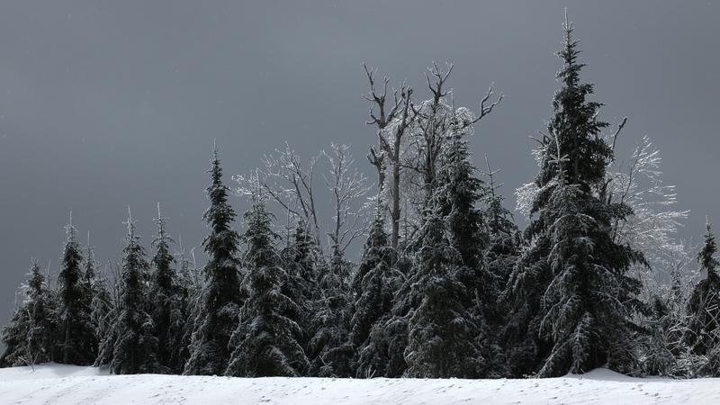 Parue dans : Sentier des Caps