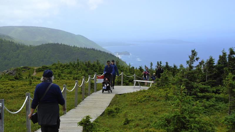 Parue dans : Skyline Trail ( Île du Cap Breton )