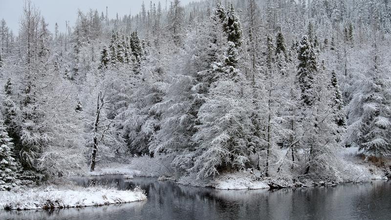 Parue dans : Réserve faunique des Laurentides