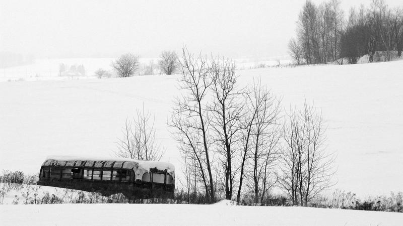 Parue dans : Abandonnés