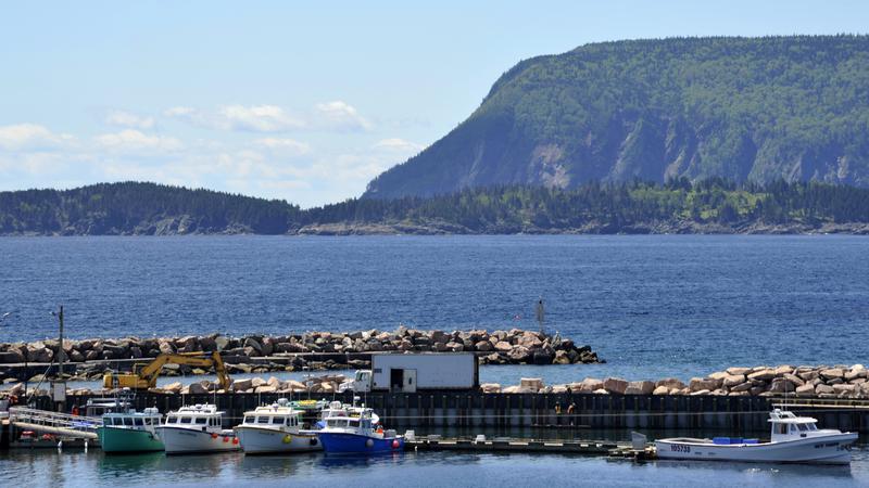 Parue dans : Iles du Cap Breton (Cabot Trail)