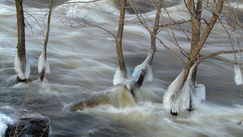 Parue dans : Parc linéaire de la Rivière Saint-Charles