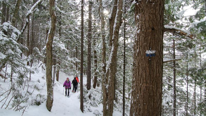 Parue dans : Parc naturel régional de Portneuf