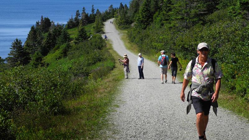 Parue dans : Parc national Forillon