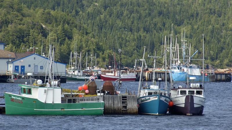 Parue dans : La côte du Labrador