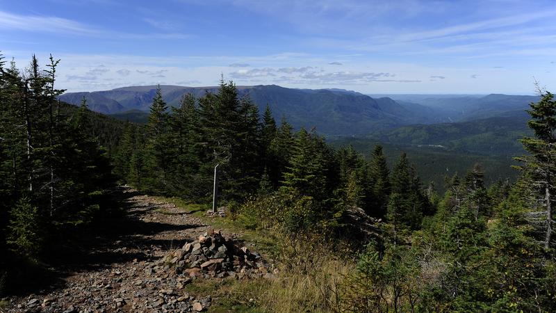 Parue dans : Parc national de la Gaspésie