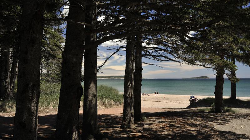 Parue dans : Iles du Cap Breton (Cabot Trail)